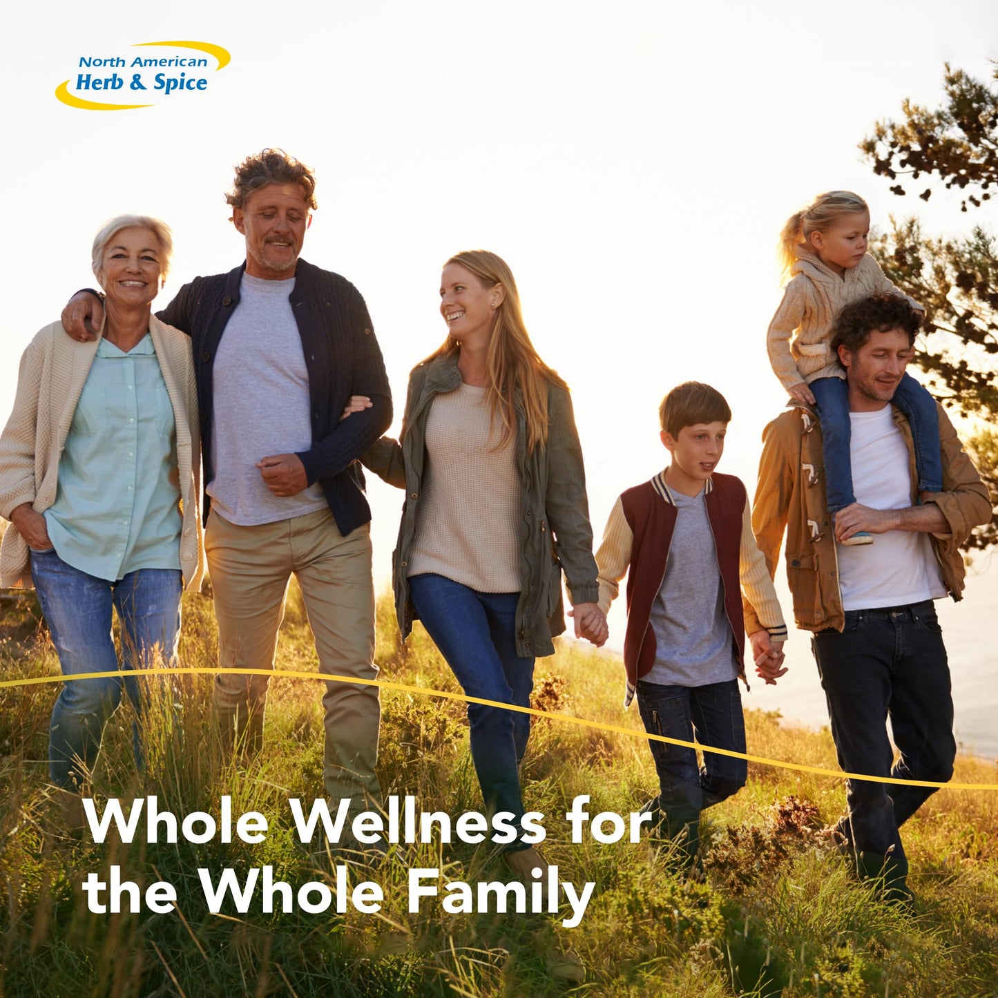 Natural antioxidant and antimicrobial carvacrol liquid drops for daily wellness protection