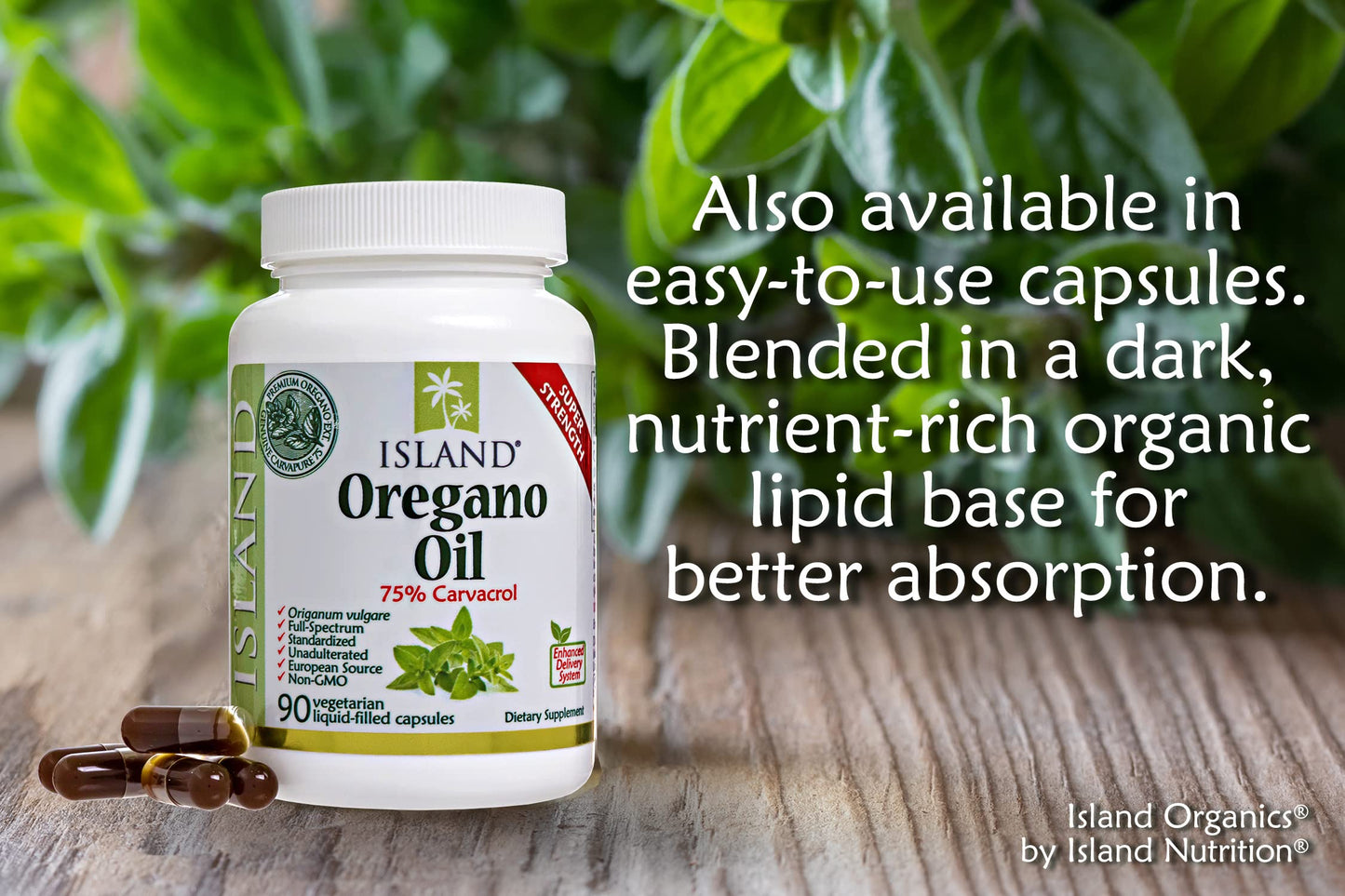 Certified organic oregano oil mixed with extra virgin olive oil carrier