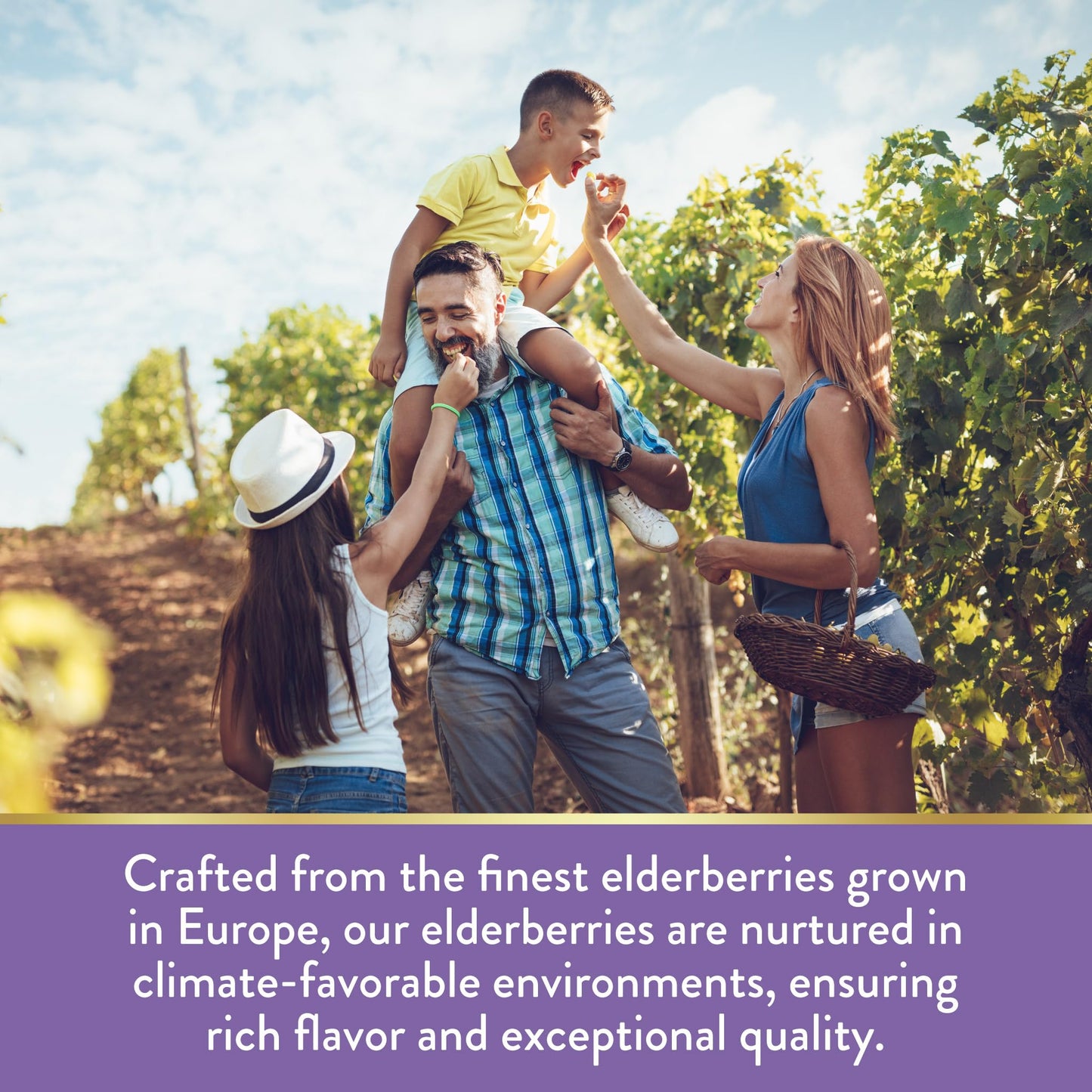 Nature's Truth elderberry complex supplement bottle displaying gluten-free and allergen-free certifications