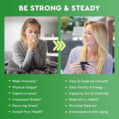 Kcormes immune and seasonal defense herbal blend capsules lifestyle image