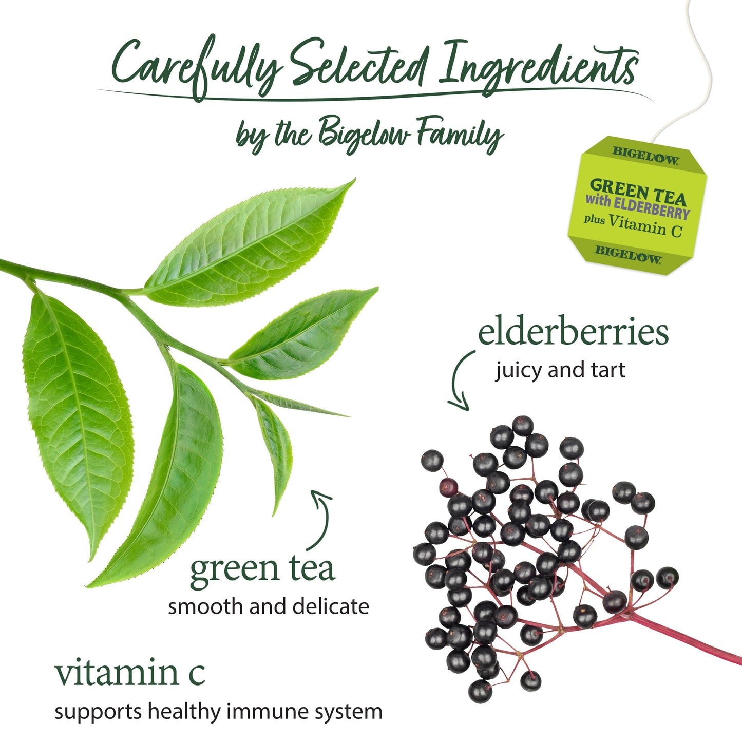 Close up of Bigelow green tea with elderberry packaging showing non GMO seal