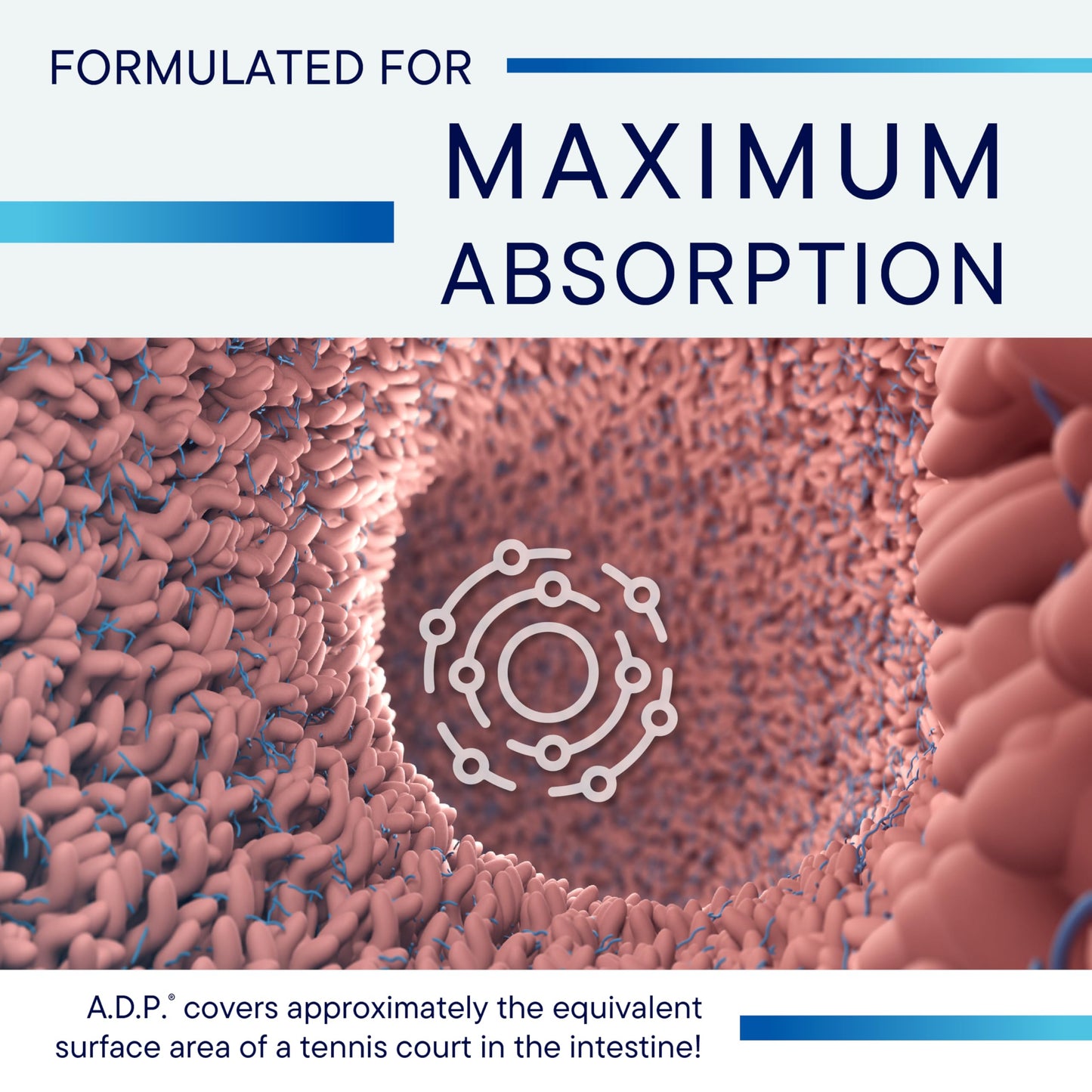 Imported Biotics Research ADP carvacrol 50mg tablets for microbial balance