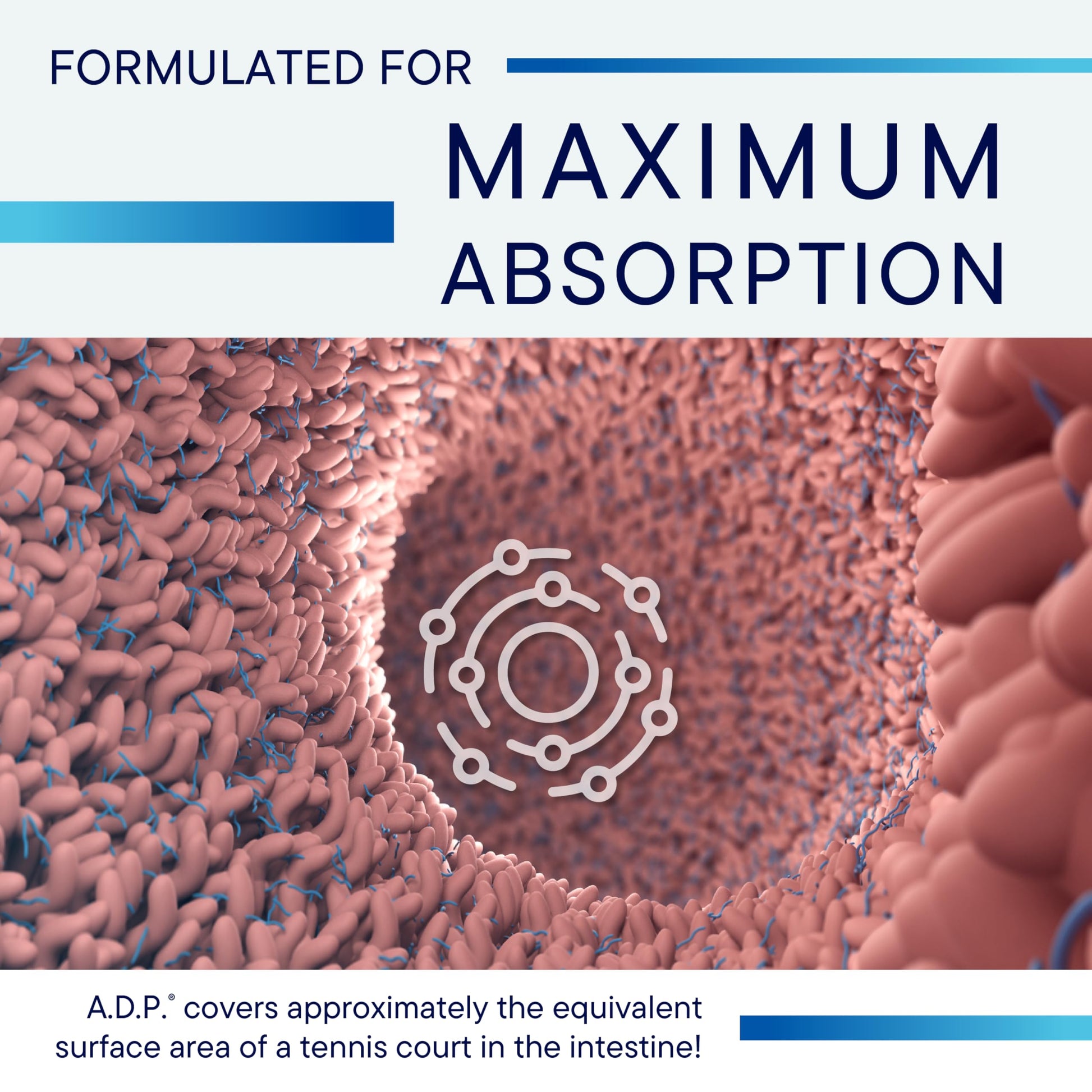 Imported Biotics Research ADP carvacrol 50mg tablets for microbial balance
