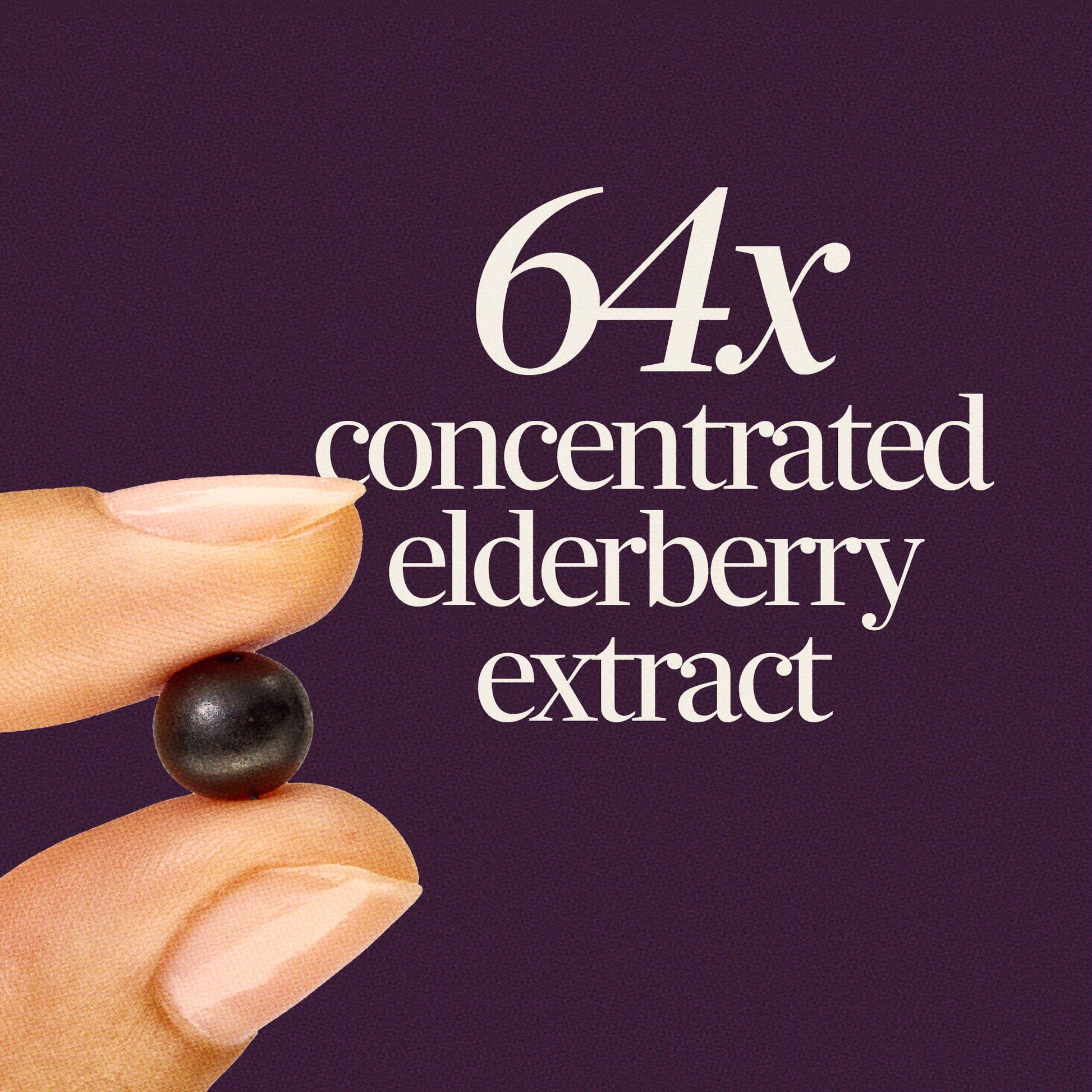 Black elderberry extract immune gummies with zinc and vitamin C for vegetarian wellness support.