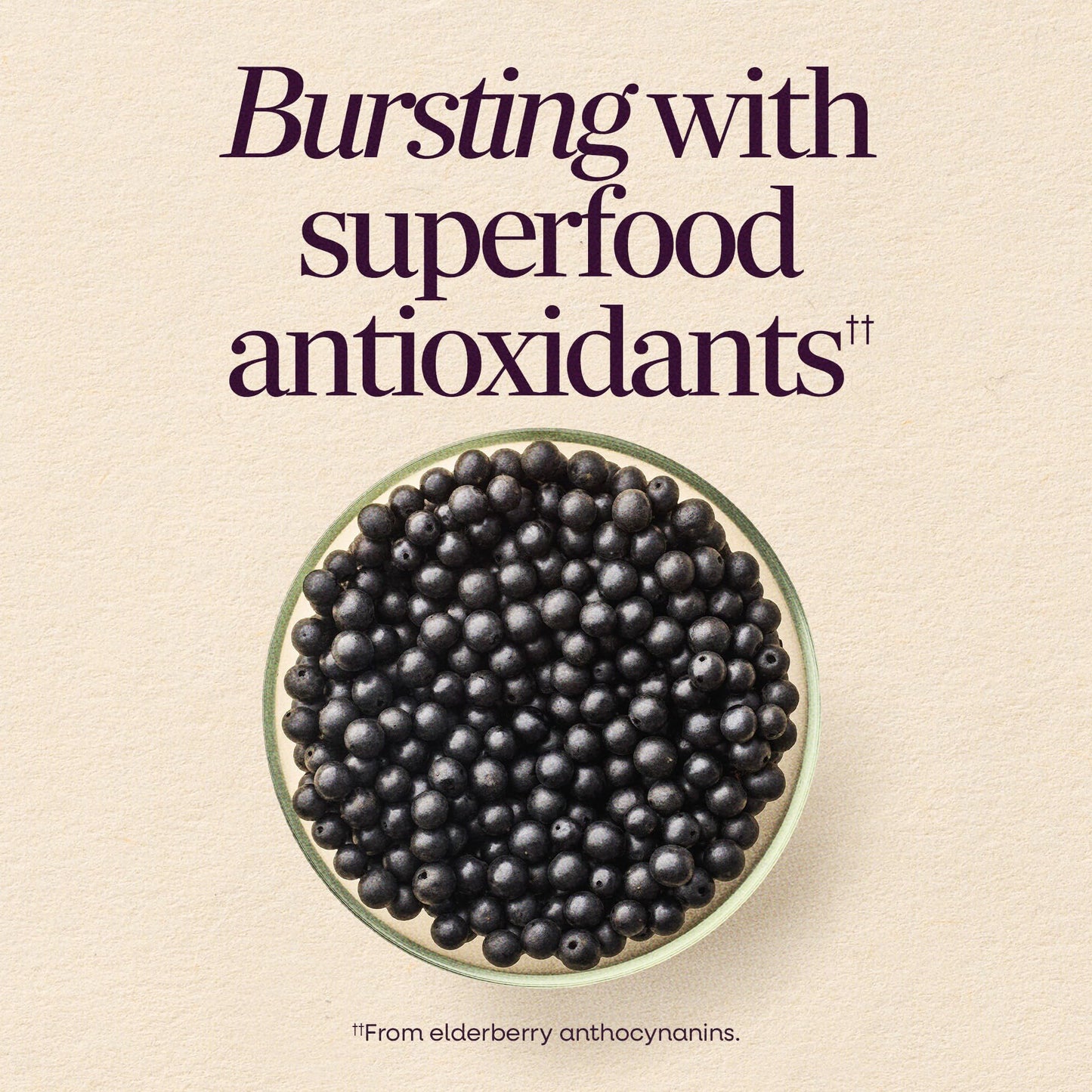 Authentic USA imported sugar free elderberry supplement bottle featuring seventy premium pectin gummies.