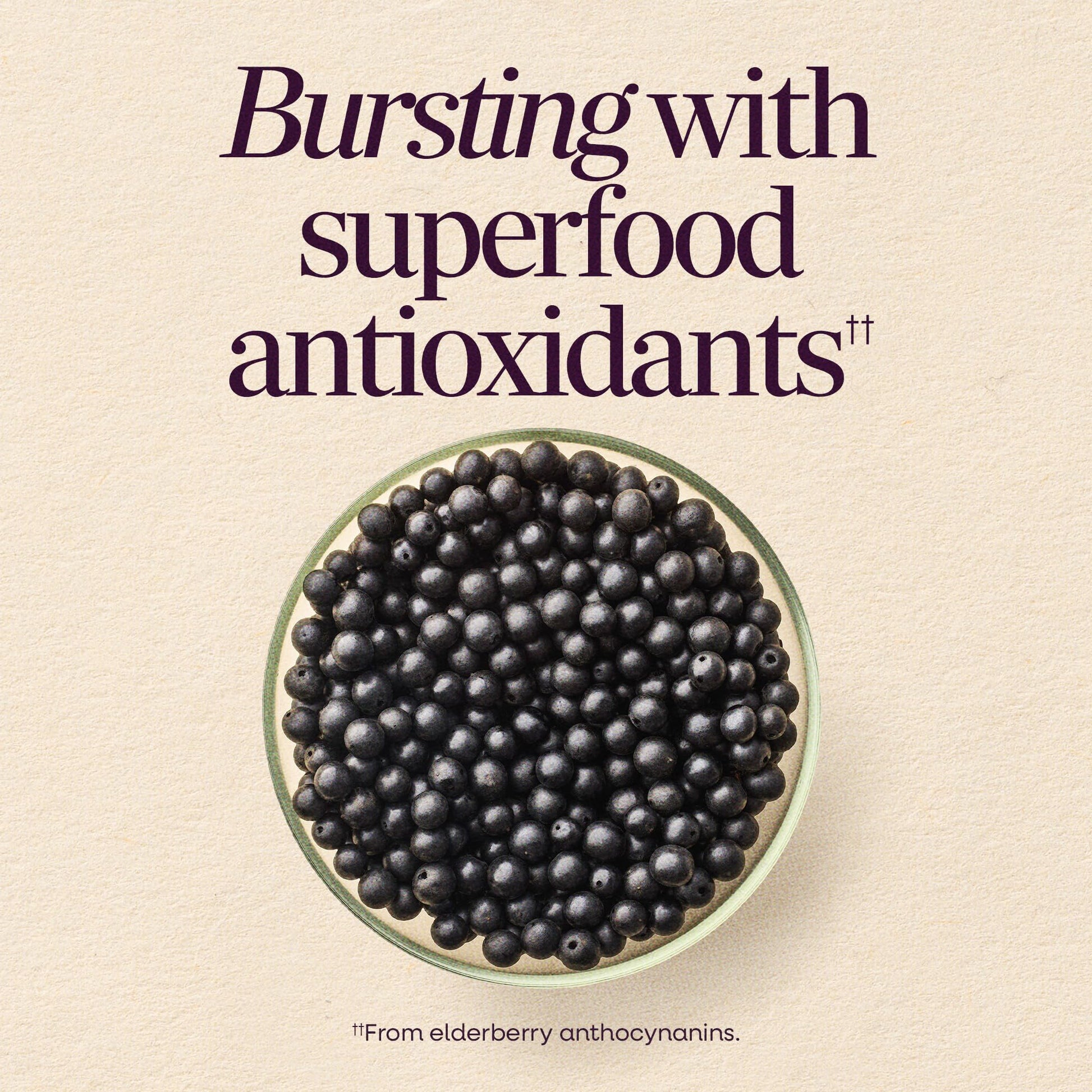 Authentic USA imported sugar free elderberry supplement bottle featuring seventy premium pectin gummies.