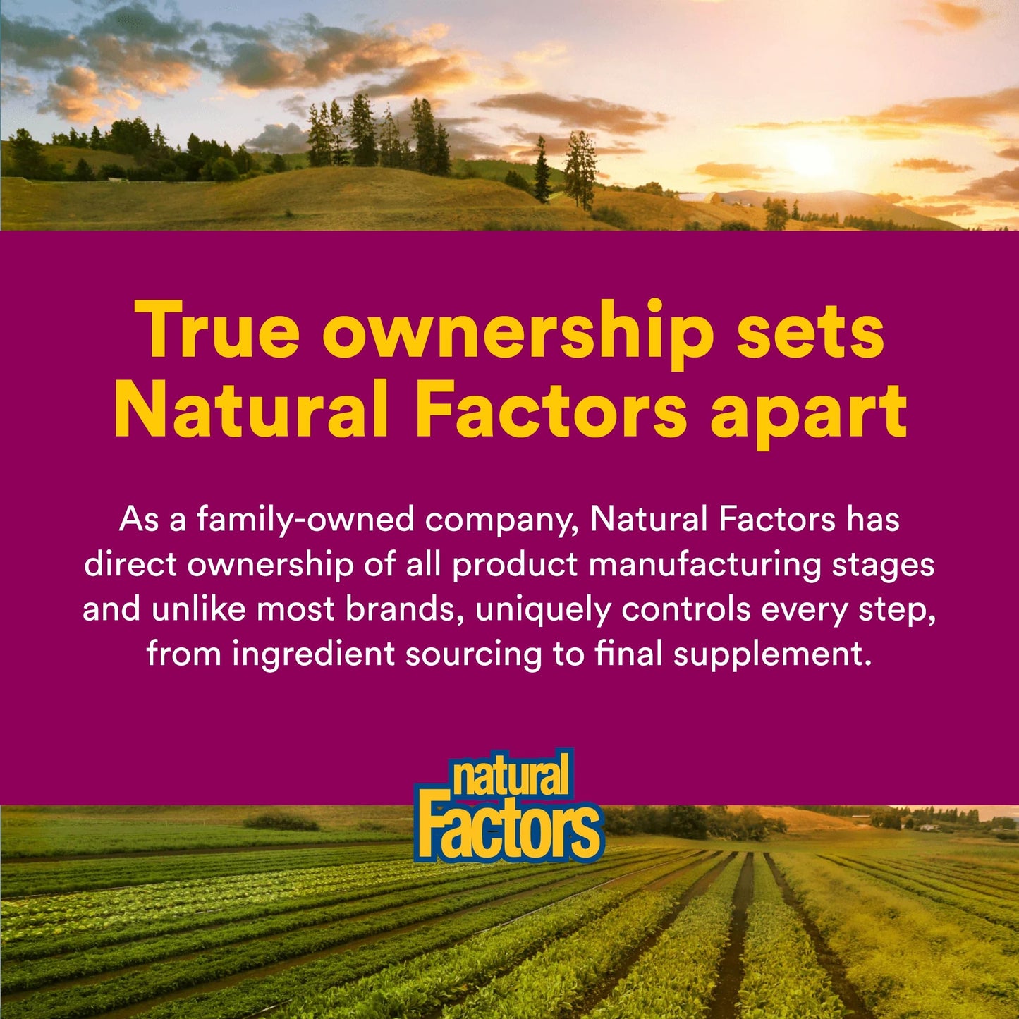 Natural Factors immune support dietary supplement capsule presentation