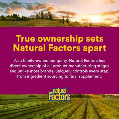Natural Factors immune support dietary supplement capsule presentation
