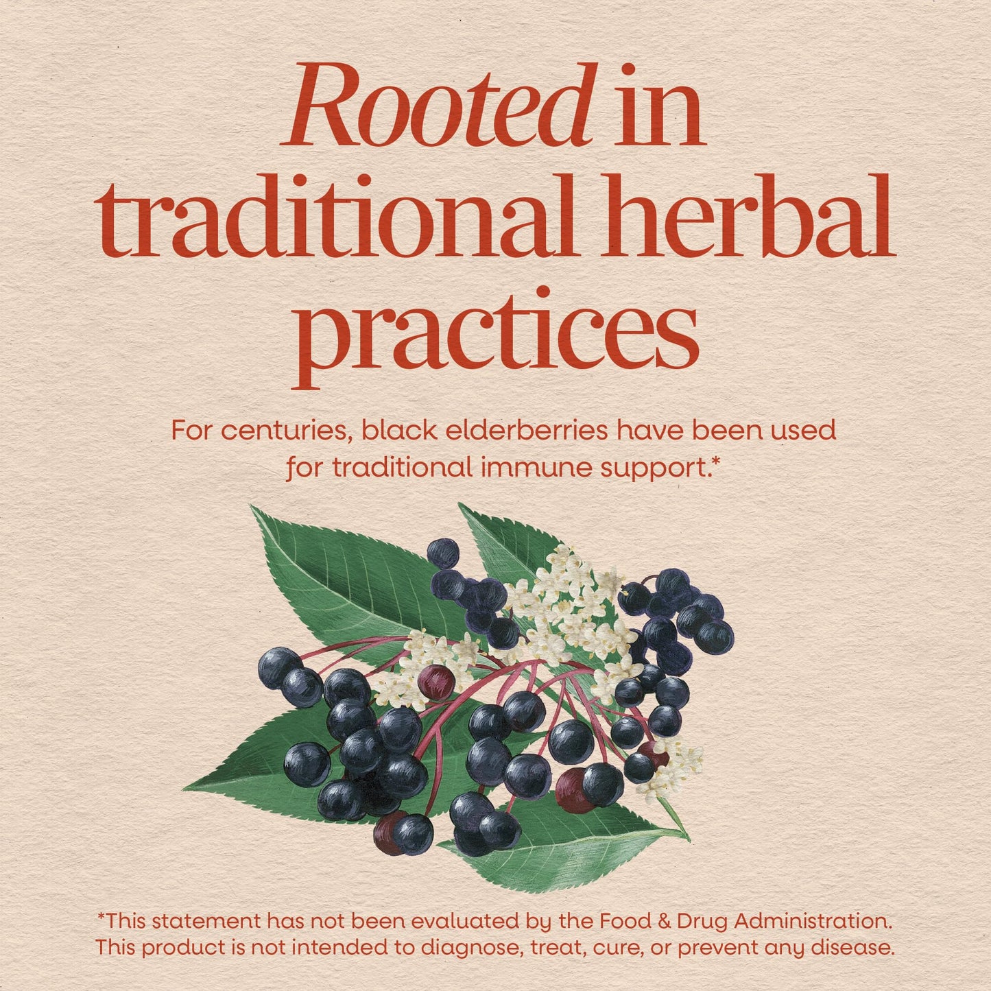 Close up of Nature's Way black elderberry immune support capsules