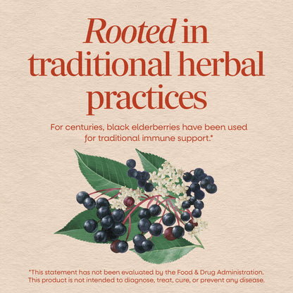Close up of Nature's Way black elderberry immune support capsules