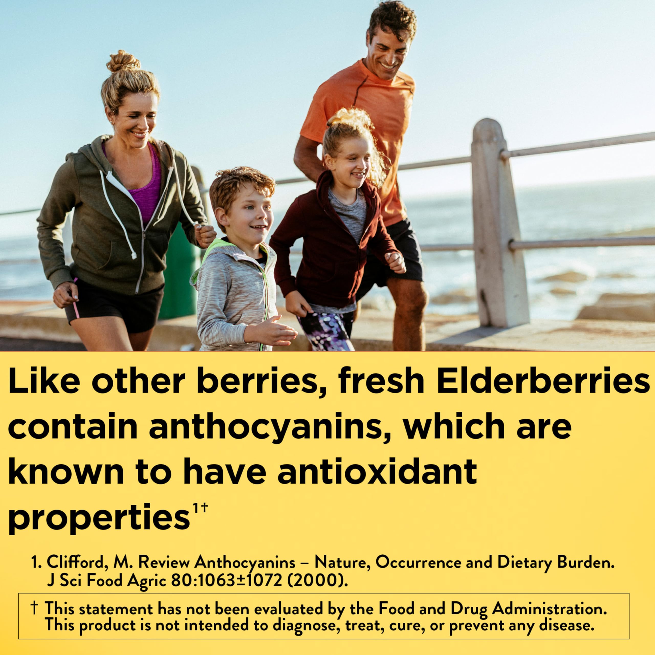 Authentic Nature Made black elderberry capsules packaging detailing Vitamin C and Zinc active ingredients