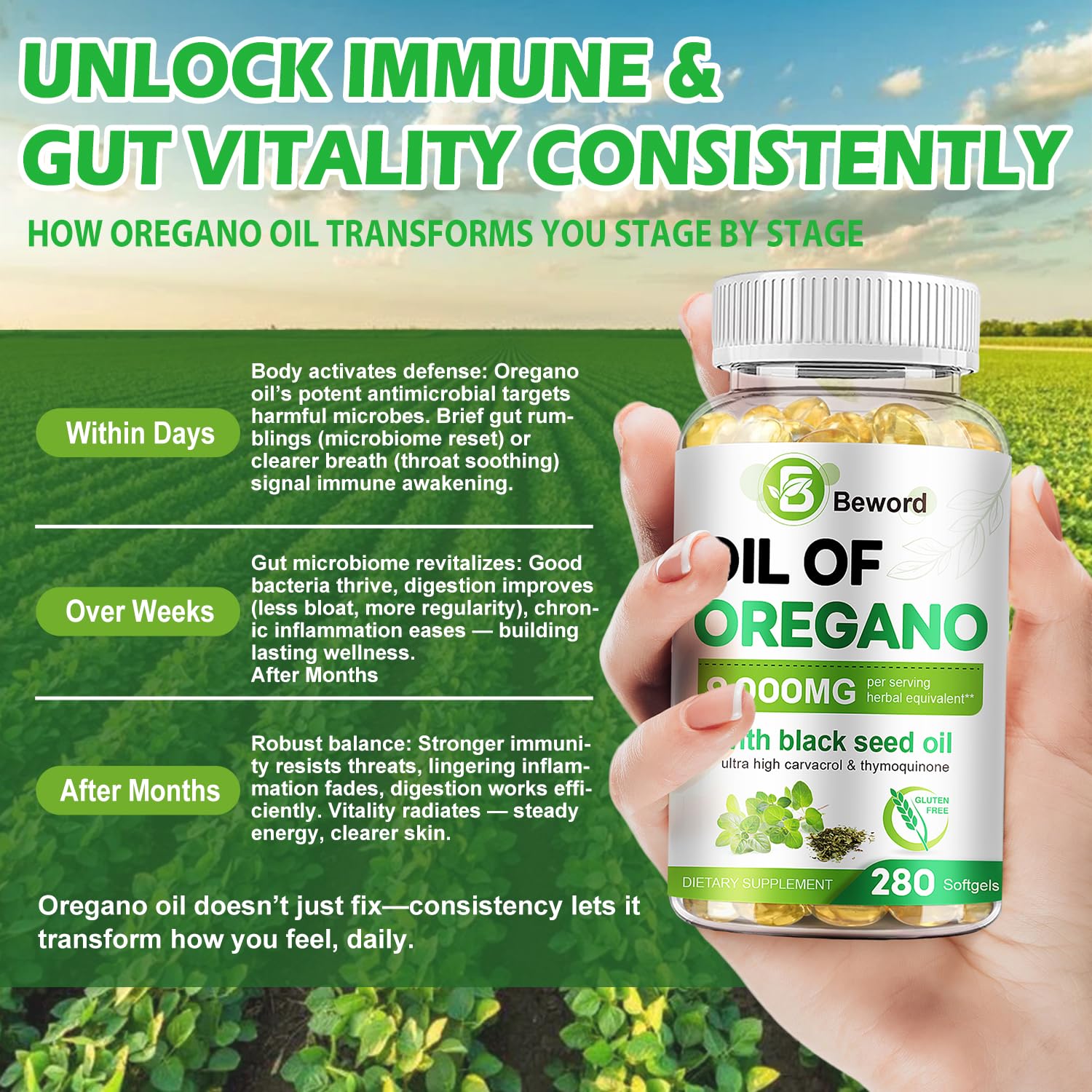 BEWORD wild oregano oil and cold pressed black seed oil supplement packaging display.