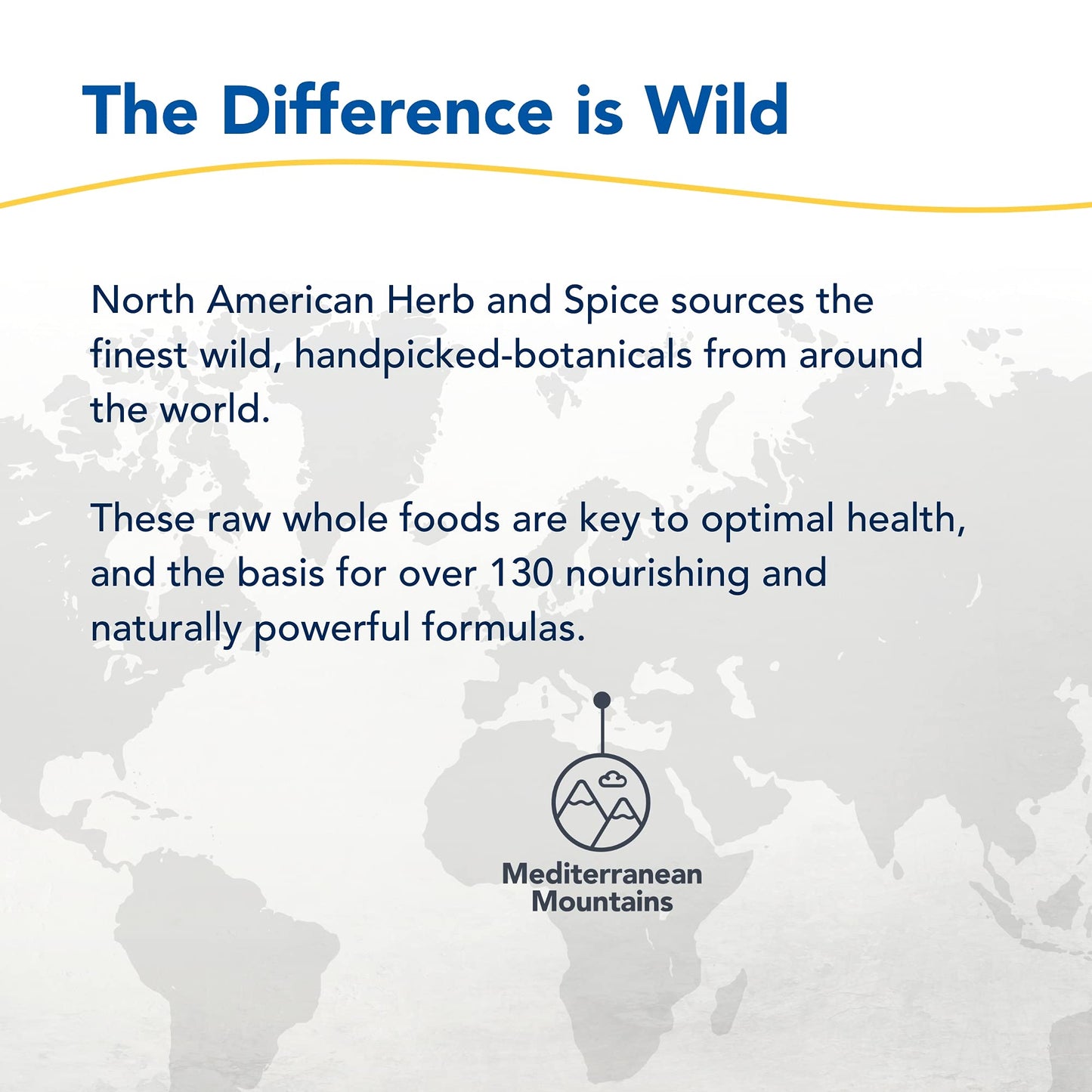 North American Herb And Spice protective seal and brand details on daily wellness product