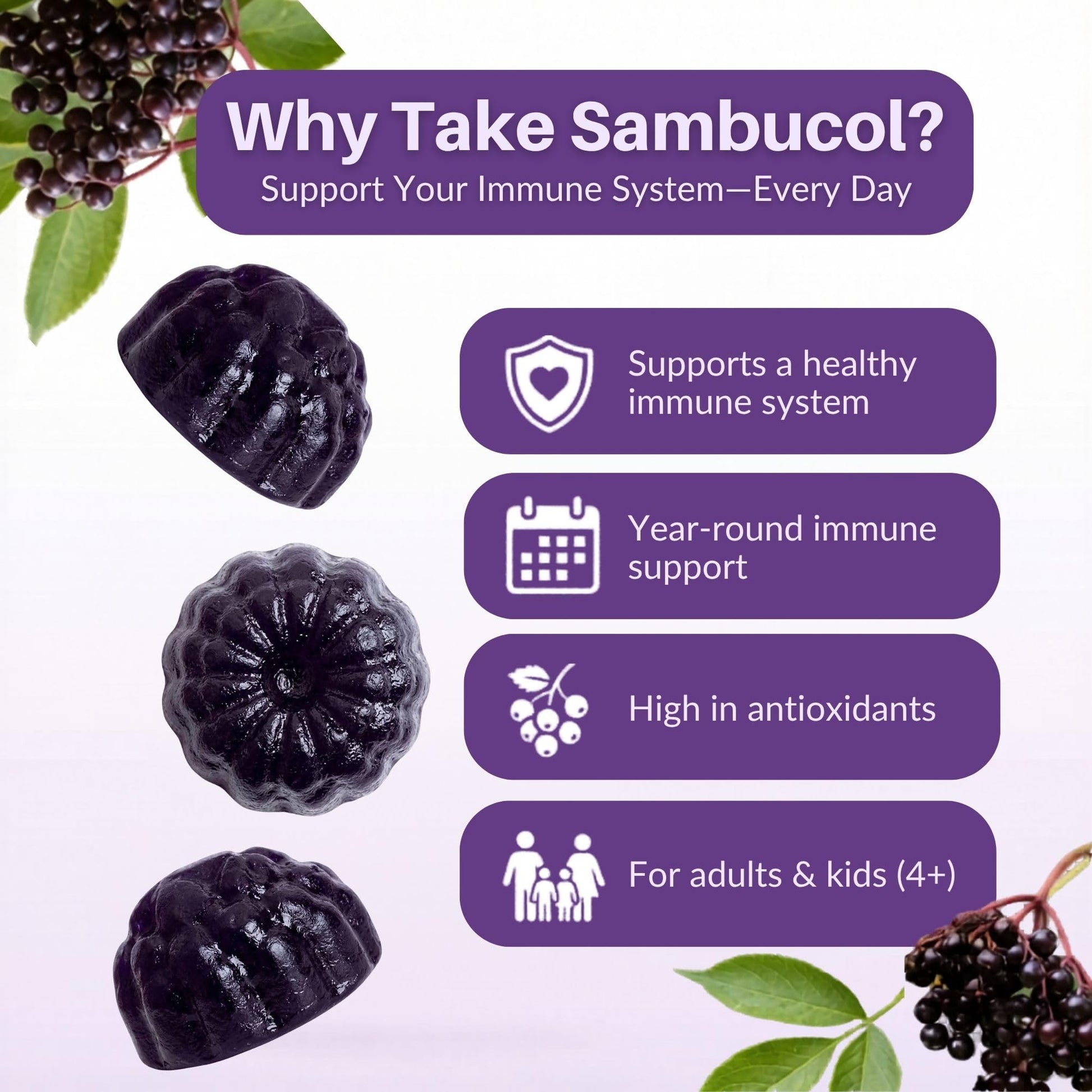 Sambucol dietary supplement ingredients list and allergen free information on bottle