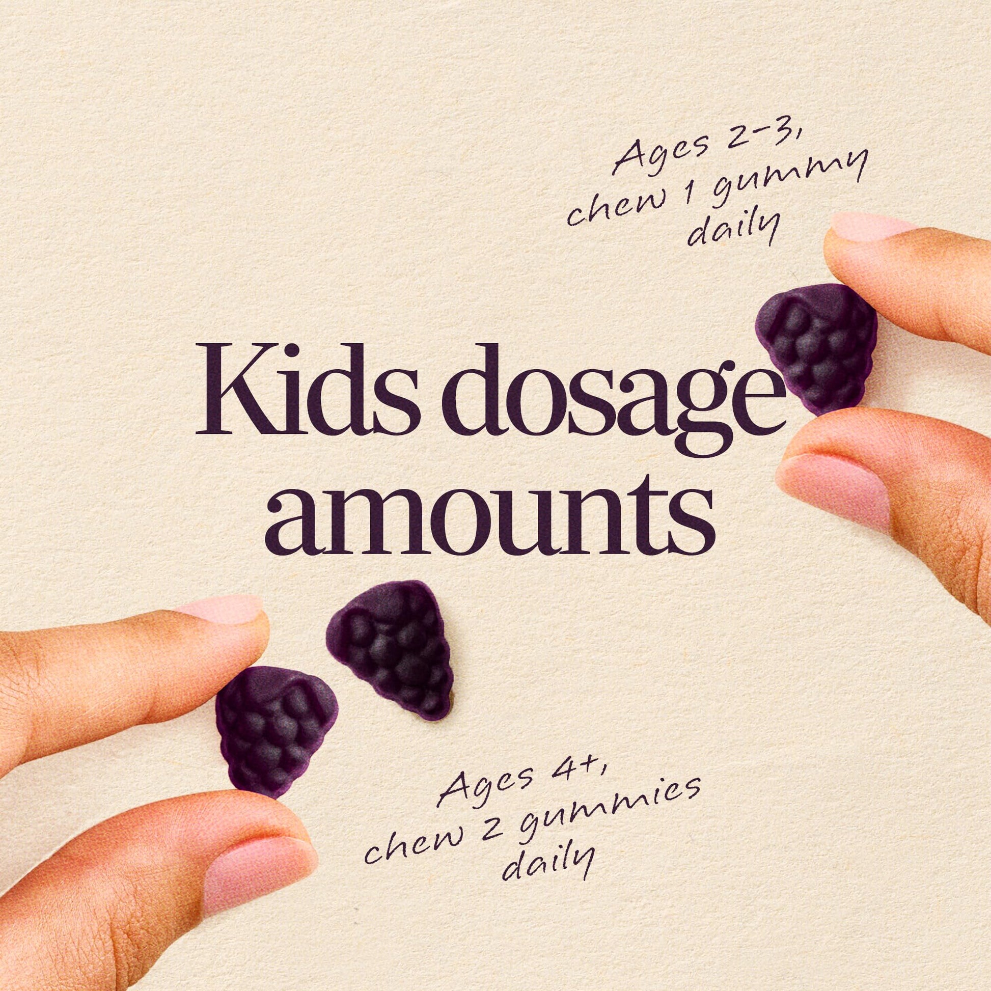 Nature's Way elderberry gummies with vitamin C and zinc formulation specifications