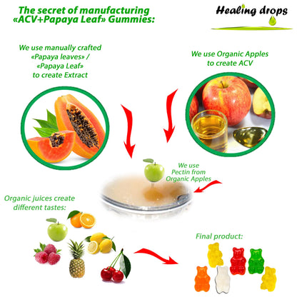 Healing Drops vegan apple cider vinegar and papaya leaf supplement label details