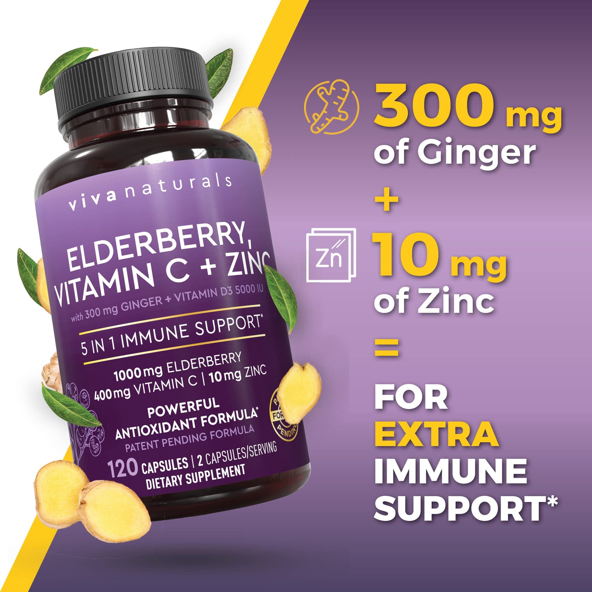 Close up of vegetarian capsules containing elderberry ginger root extract vitamin C and zinc for antioxidant health