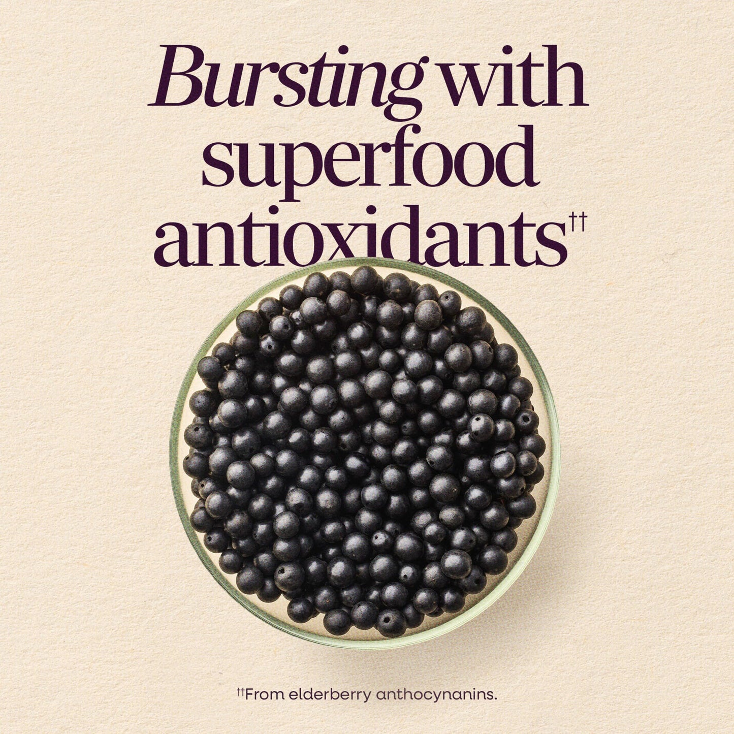 Nature's Way Sambucus Elderberry Gummies packaging details