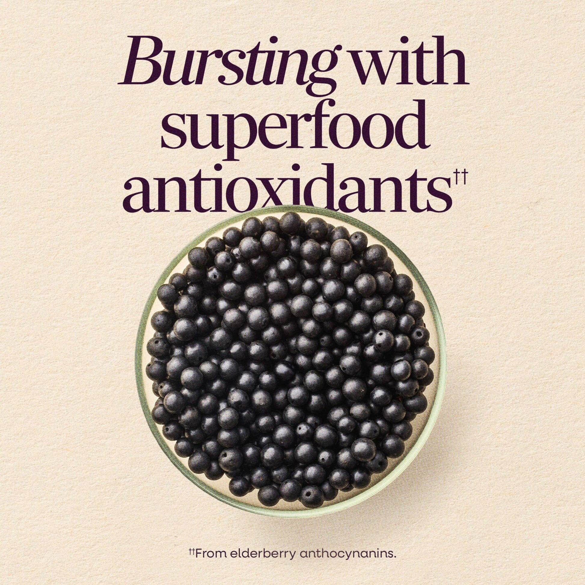 Nature's Way Sambucus Elderberry Gummies packaging details