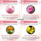 Hebora natural beauty and hormone regulating capsules showcasing premium imported bottle design