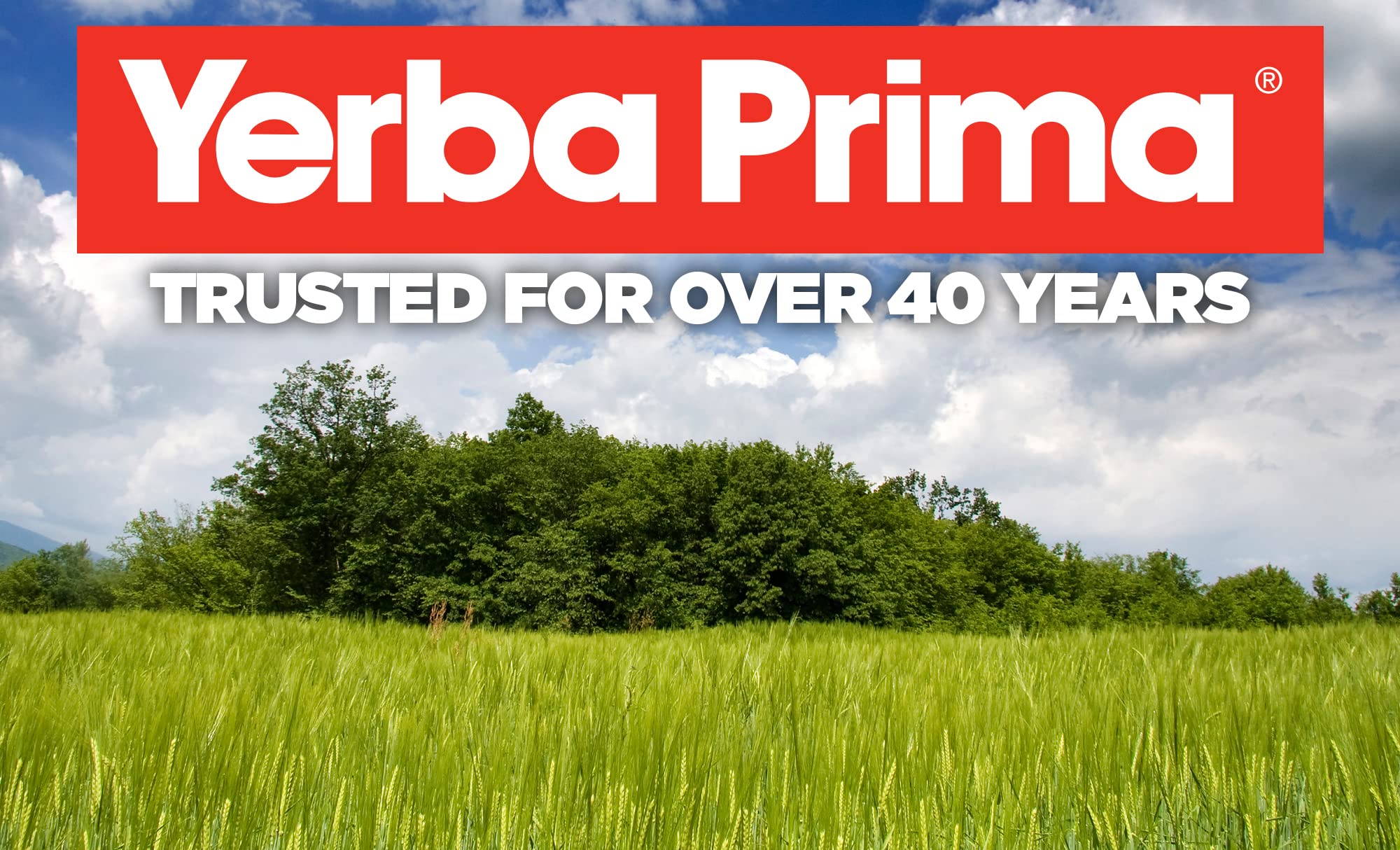 Yerba Prima psyllium husk organic fiber supplement packaging