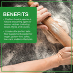 Jiva Organics Psyllium Husk fiber texture close up