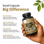 Close up of Zealthy Life organic dietary fiber supplement bottle