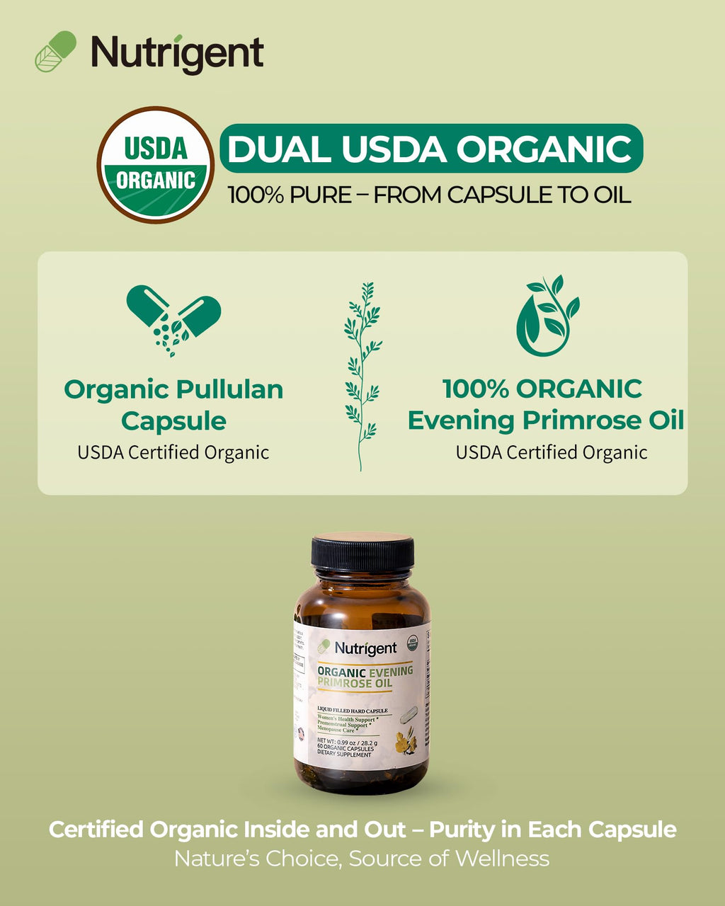 USDA Organic certified liquid capsules packaging of Nutrigent evening primrose oil