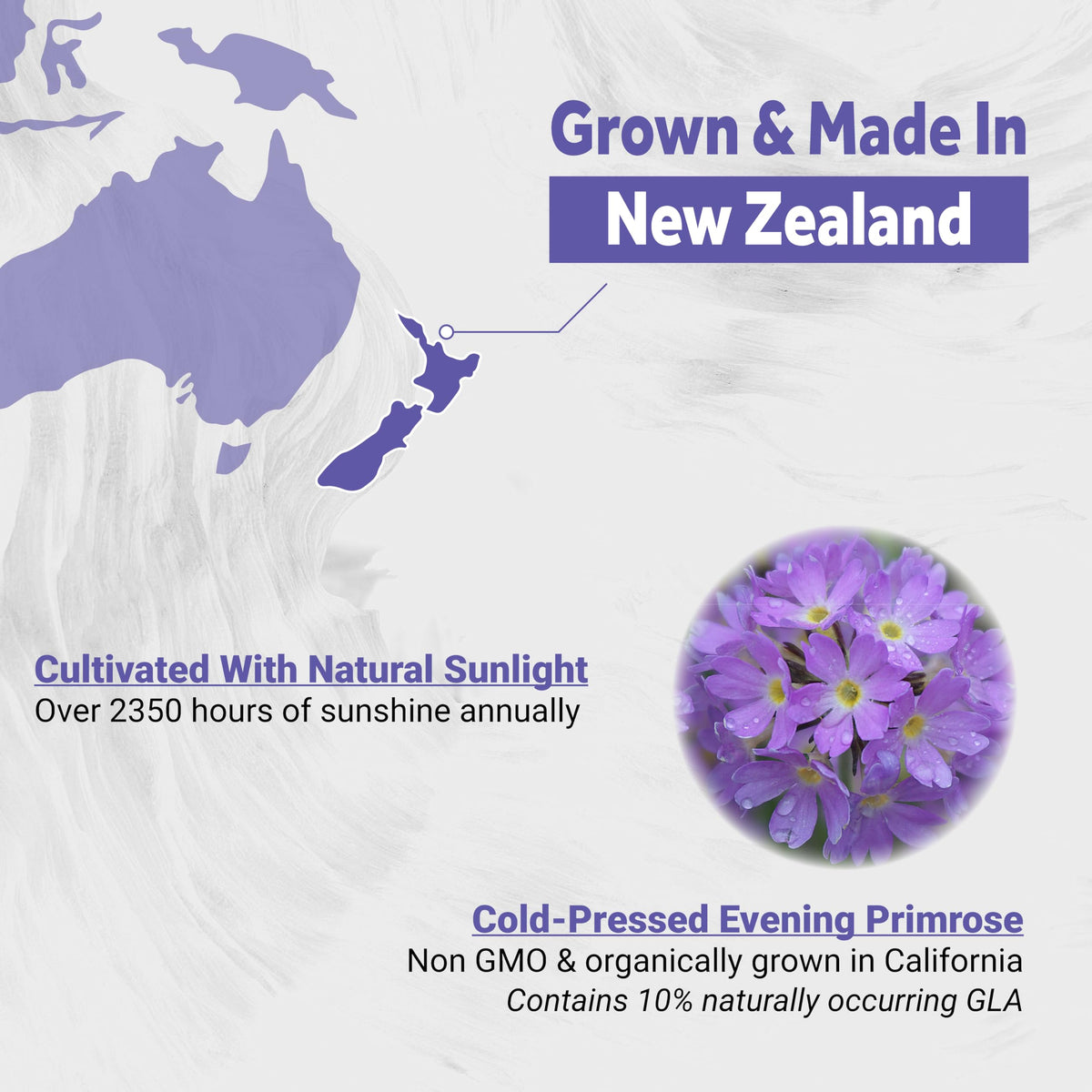 Close up view of the back label on Naturalis evening primrose oil showing complete ingredients list and dosage instructions.
