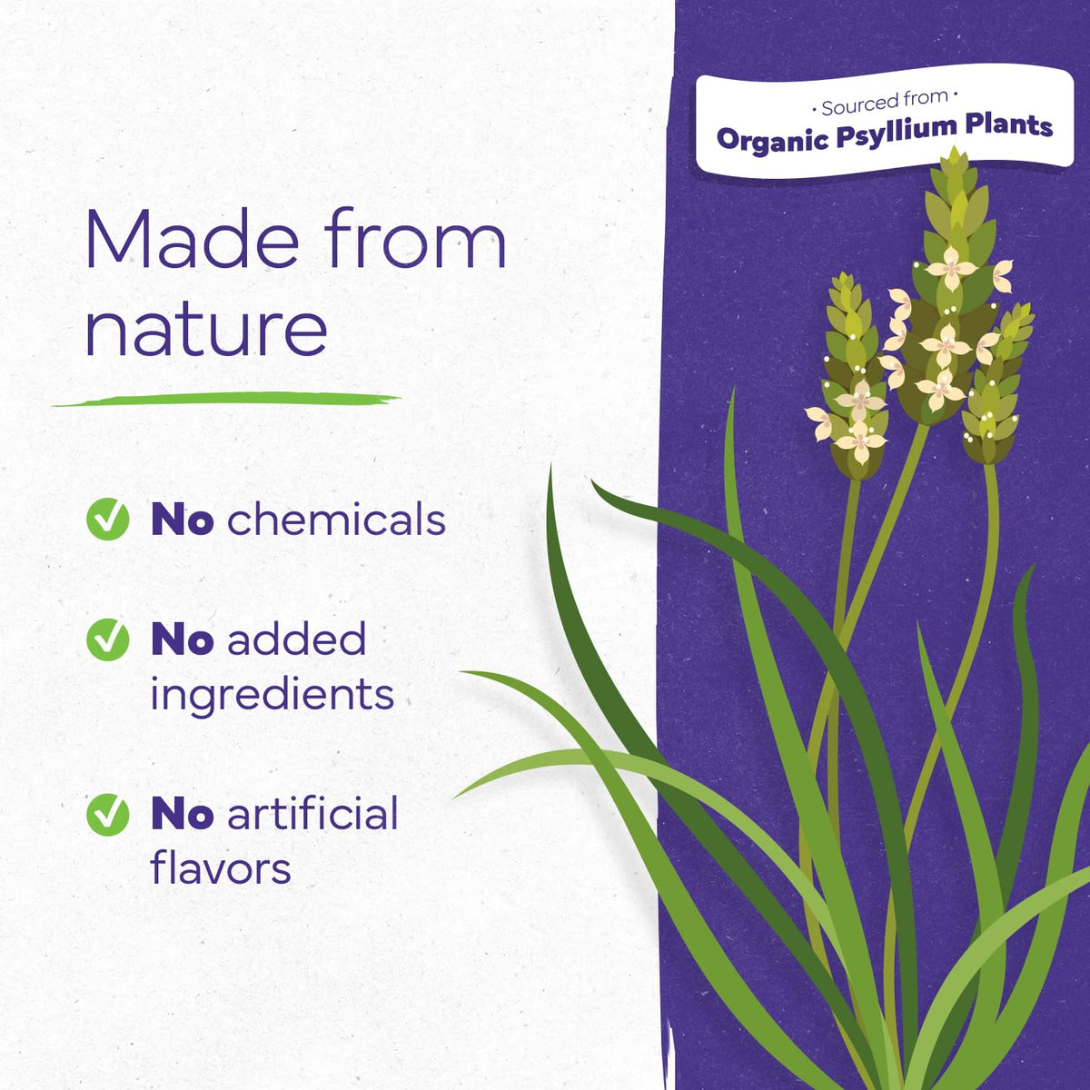 Konsyl organic psyllium powder mixed in a glass of water