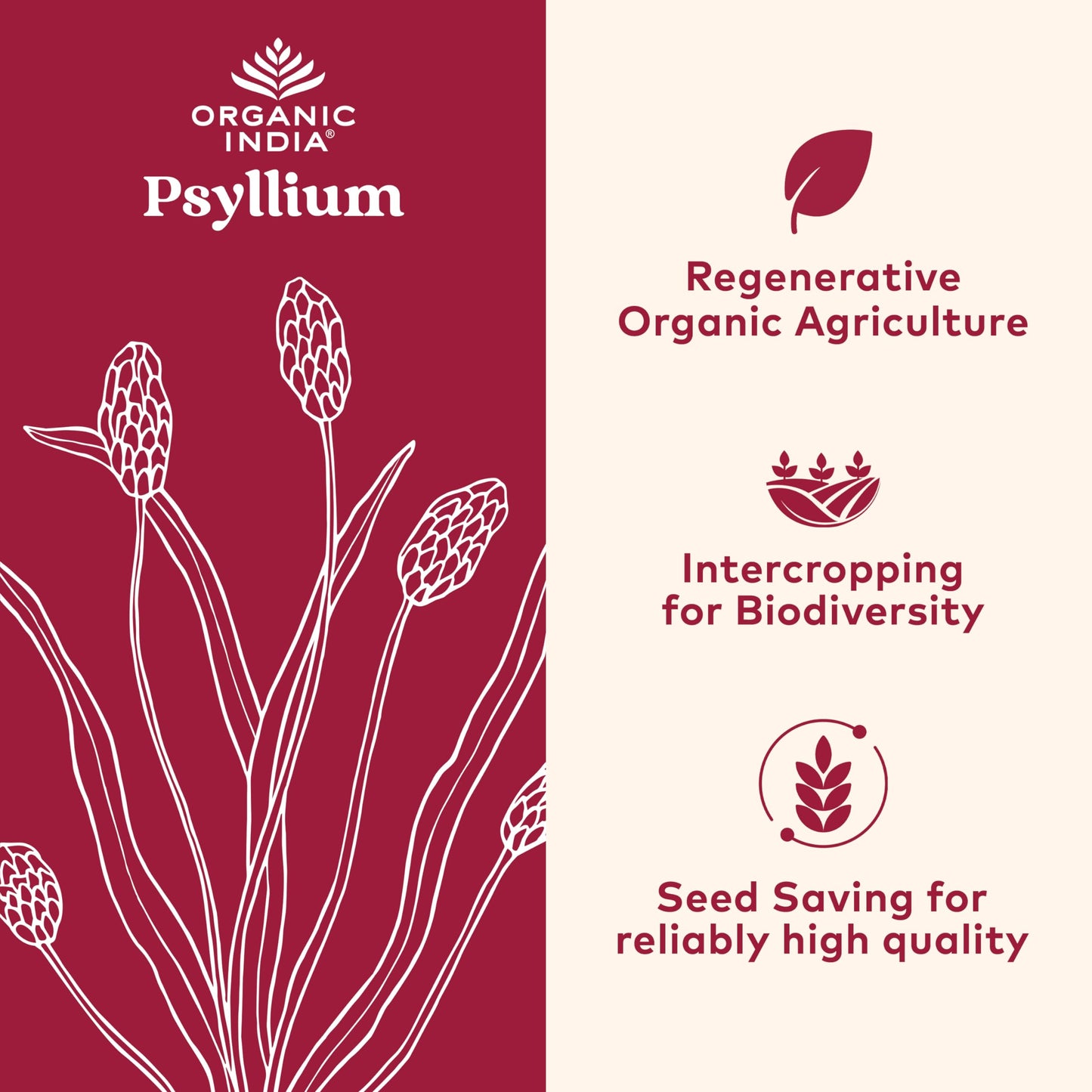 Organic India Whole Psyllium Husk Herbal Powder nutrition facts label and ingredient certifications side view