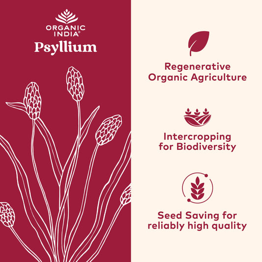 Organic India Whole Psyllium Husk Herbal Powder nutrition facts label and ingredient certifications side view