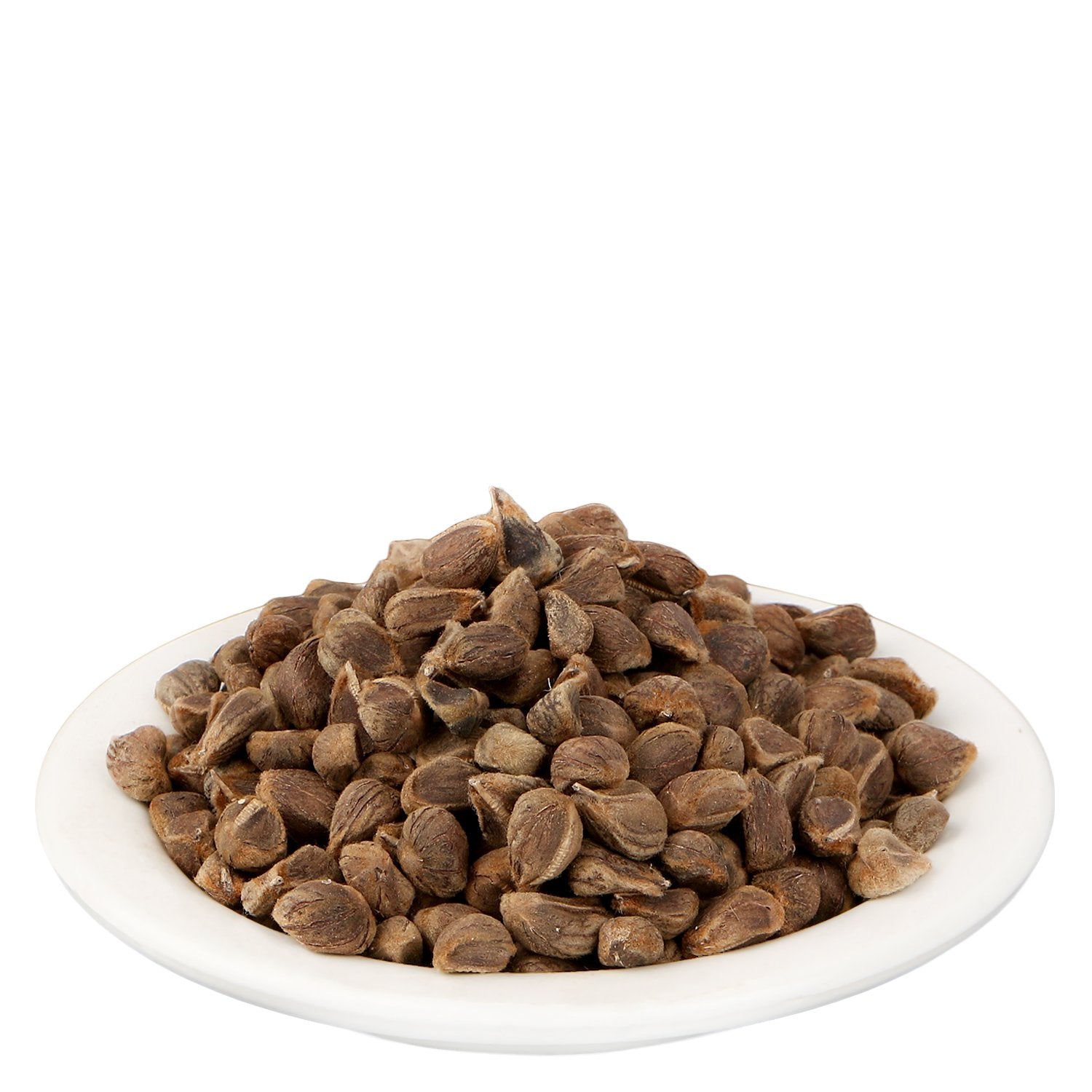 Close up shot of pure machine sorted Argyreia Speciosa Vruddhadaru seeds from Yuvika brand.