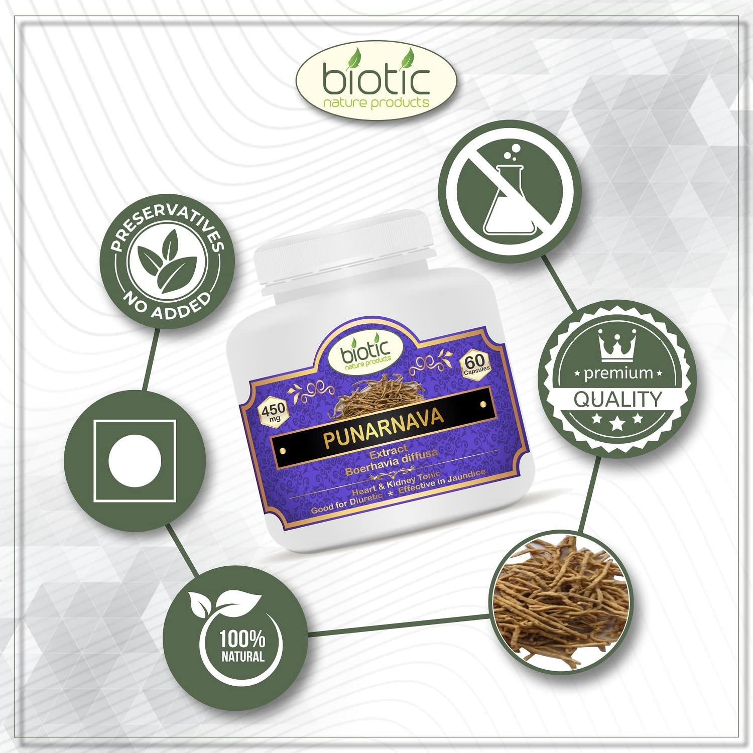 Premium imported packaging of Veena Biotic Punarnava 60 capsules illustrating safe storage instructions and manufacturer details