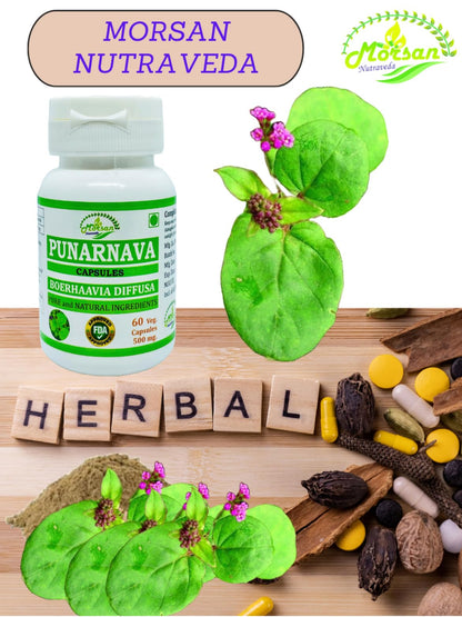 Morsan Punarnava herbal dietary supplement details highlighting zero artificial fillers.
