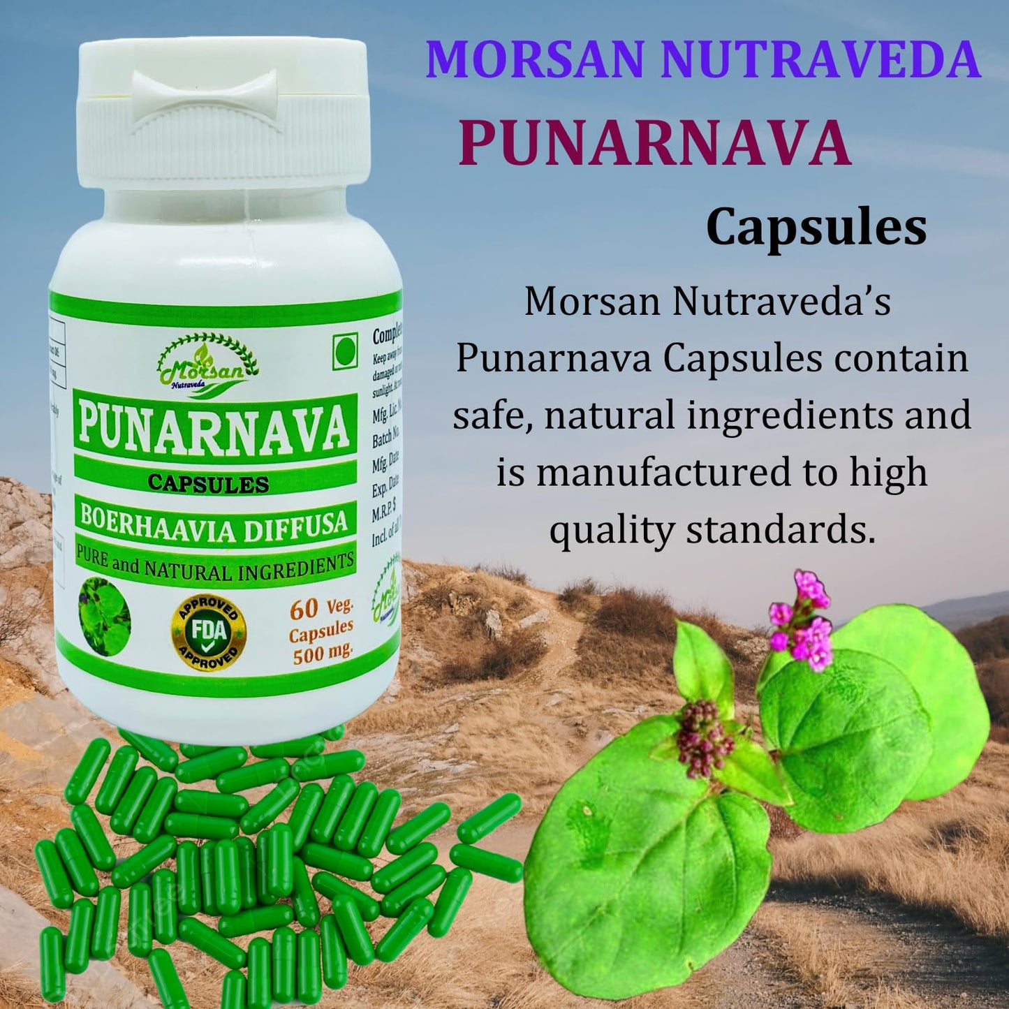 Morsan Nutraveda premium non GMO gluten free herbal wellness container.