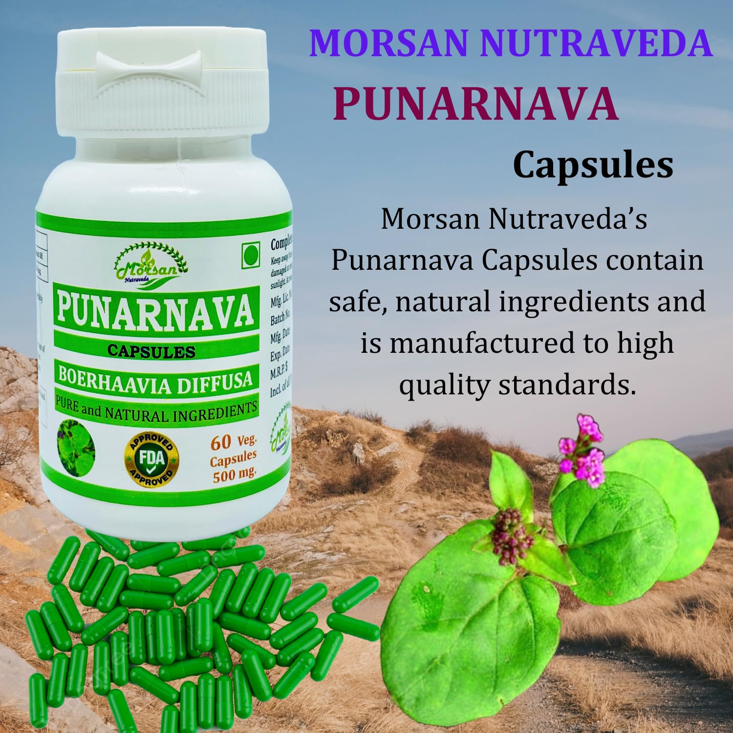 Morsan Nutraveda premium non GMO gluten free herbal wellness container.
