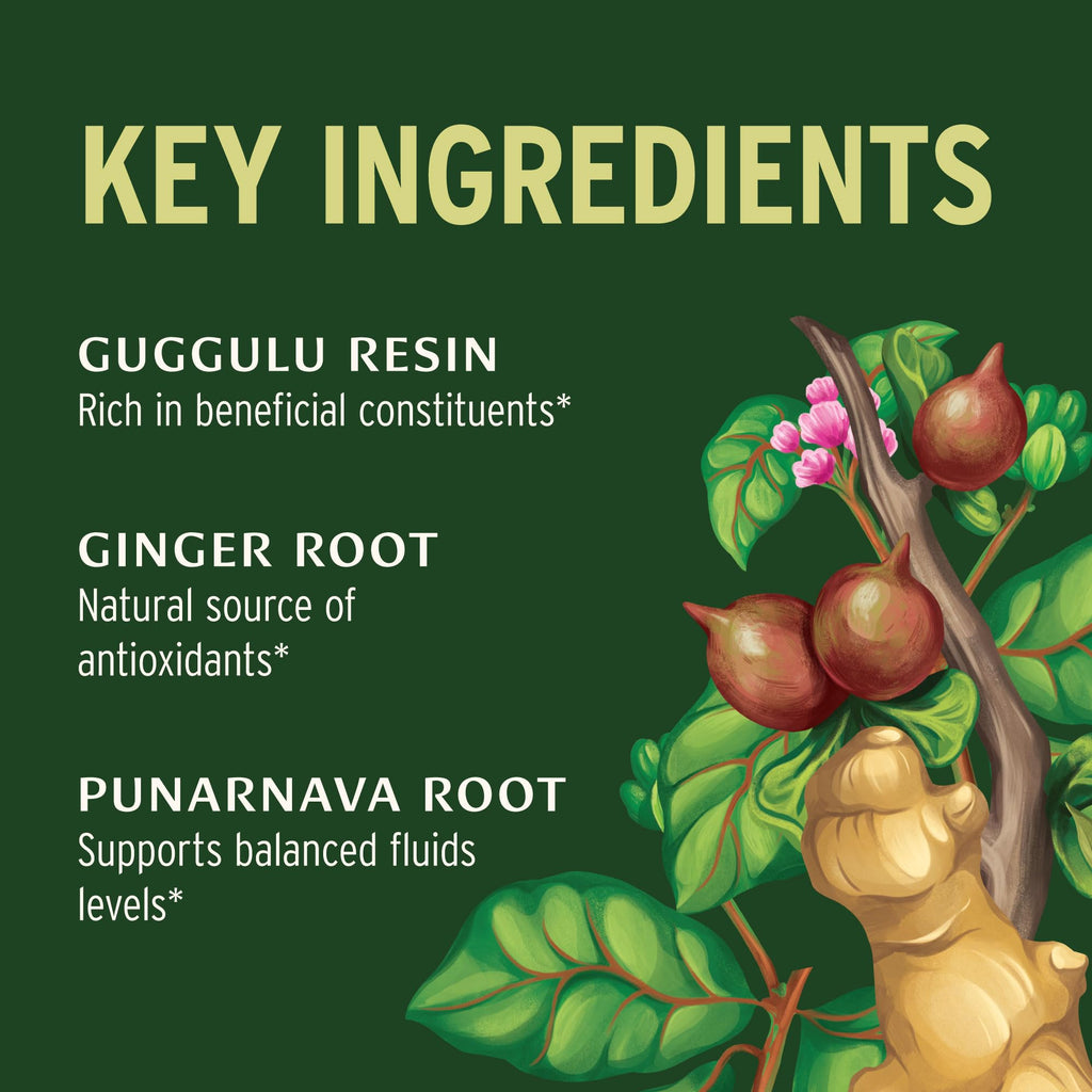 Organic kidney support herbal powder supplement container