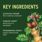 Organic kidney support herbal powder supplement container