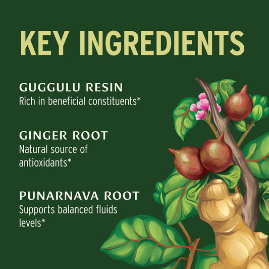 Organic kidney support herbal powder supplement container