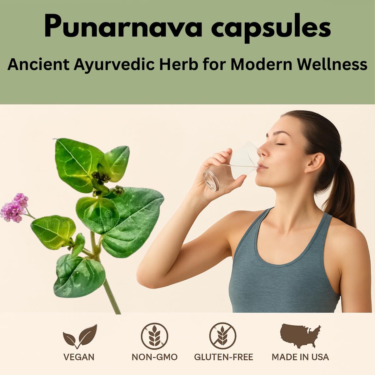 Morsan Healthcare Boerhaavia diffusa herbal supplement for natural kidney care and liver support