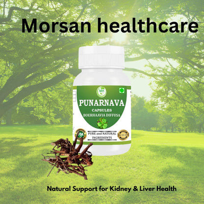 Natural cleansing and fluid balance herbal pills in premium dark protection bottle packaging