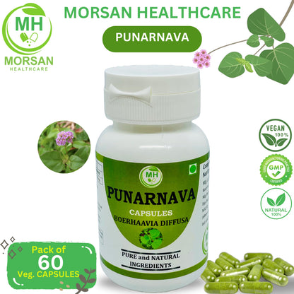 Close up view of premium quality imported wellness product for general well being and vitality