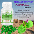 Morsan Nutraveda weight management ayurvedic supplement displayed on a clean background.