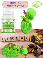 A top down view of the packaging for Planet Ayurveda Morsan Nutraveda fluid balance capsules.