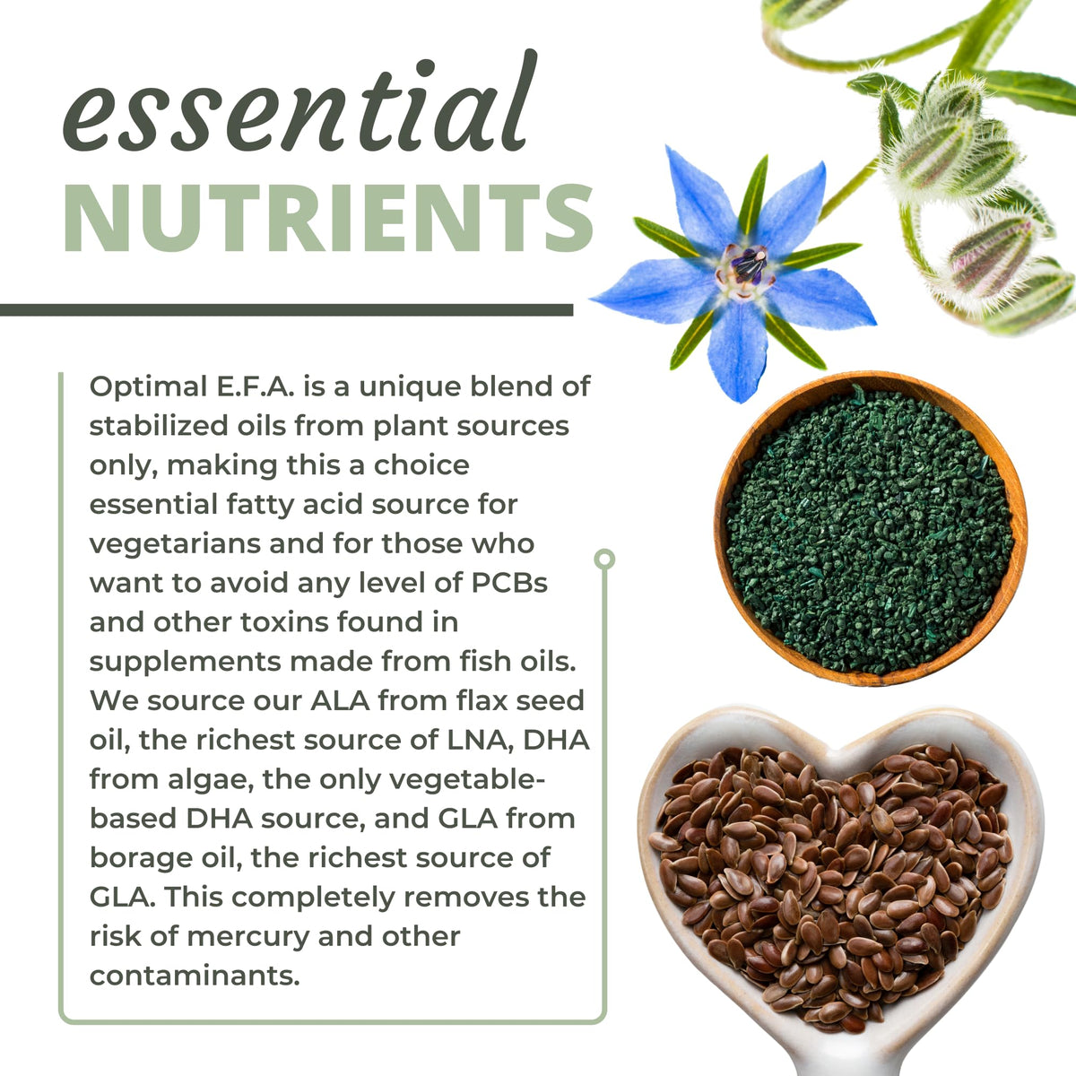Premium plant source essential fatty acids capsule appearance close up