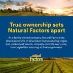 Natural Factors OmegaFactors flaxseed oil retail packaging