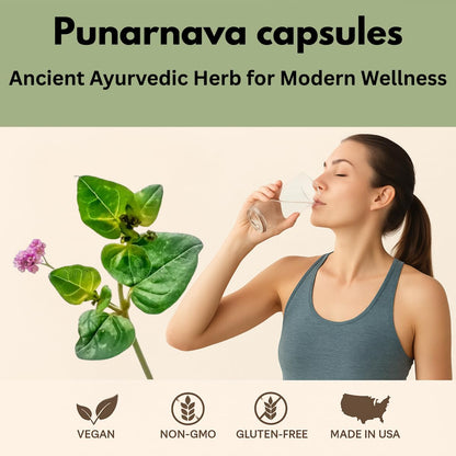 Side angle view of Morsan Healthcare Punarnava vegetarian capsules highlighting dosage directions.