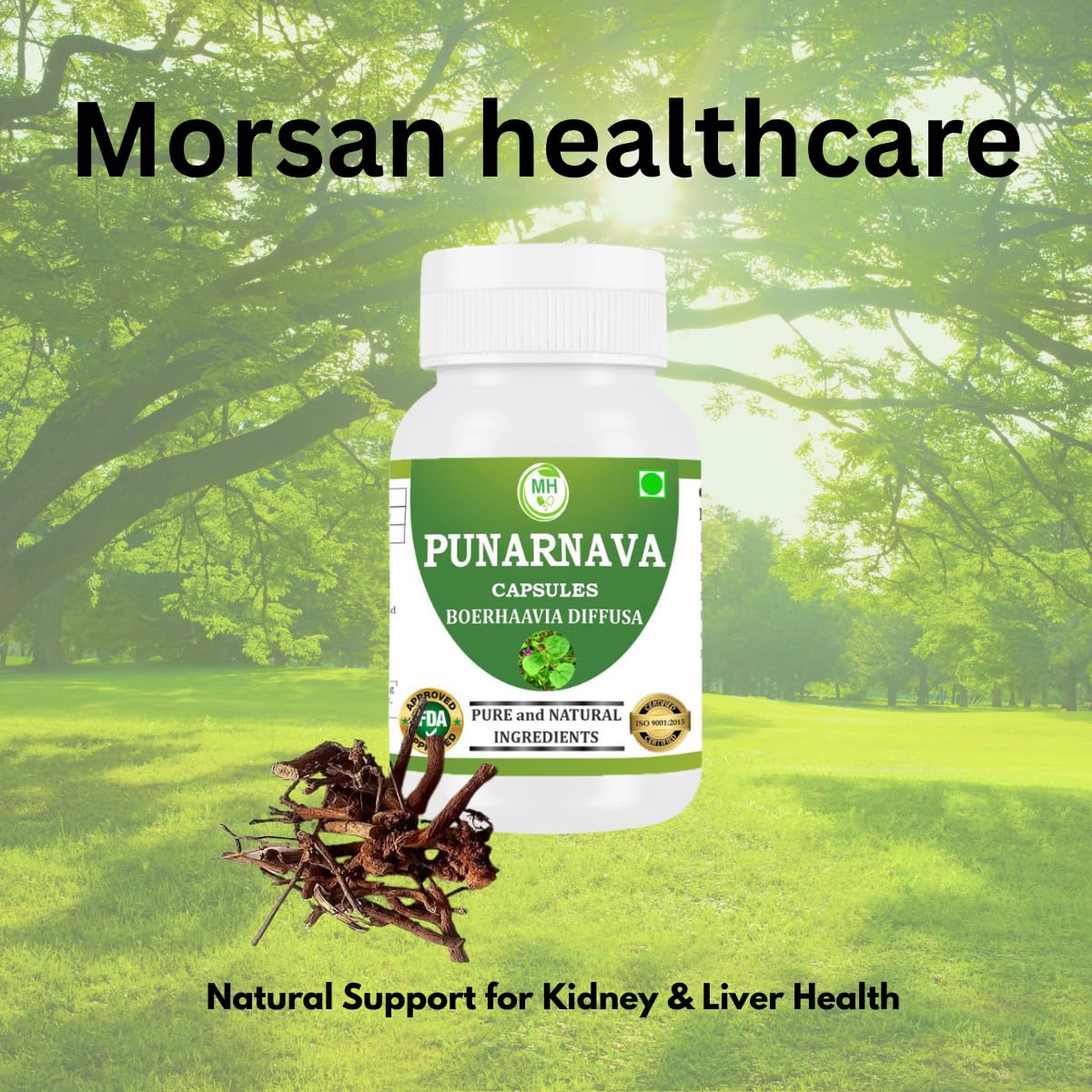 Authentic Ayurvedic formula bottle displaying the pure Boerhaavia Diffusa extract concentration facts.
