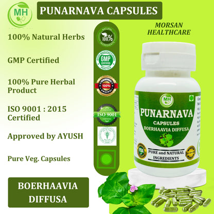 Morsan Healthcare plant based detox capsules container placed on a clean background.